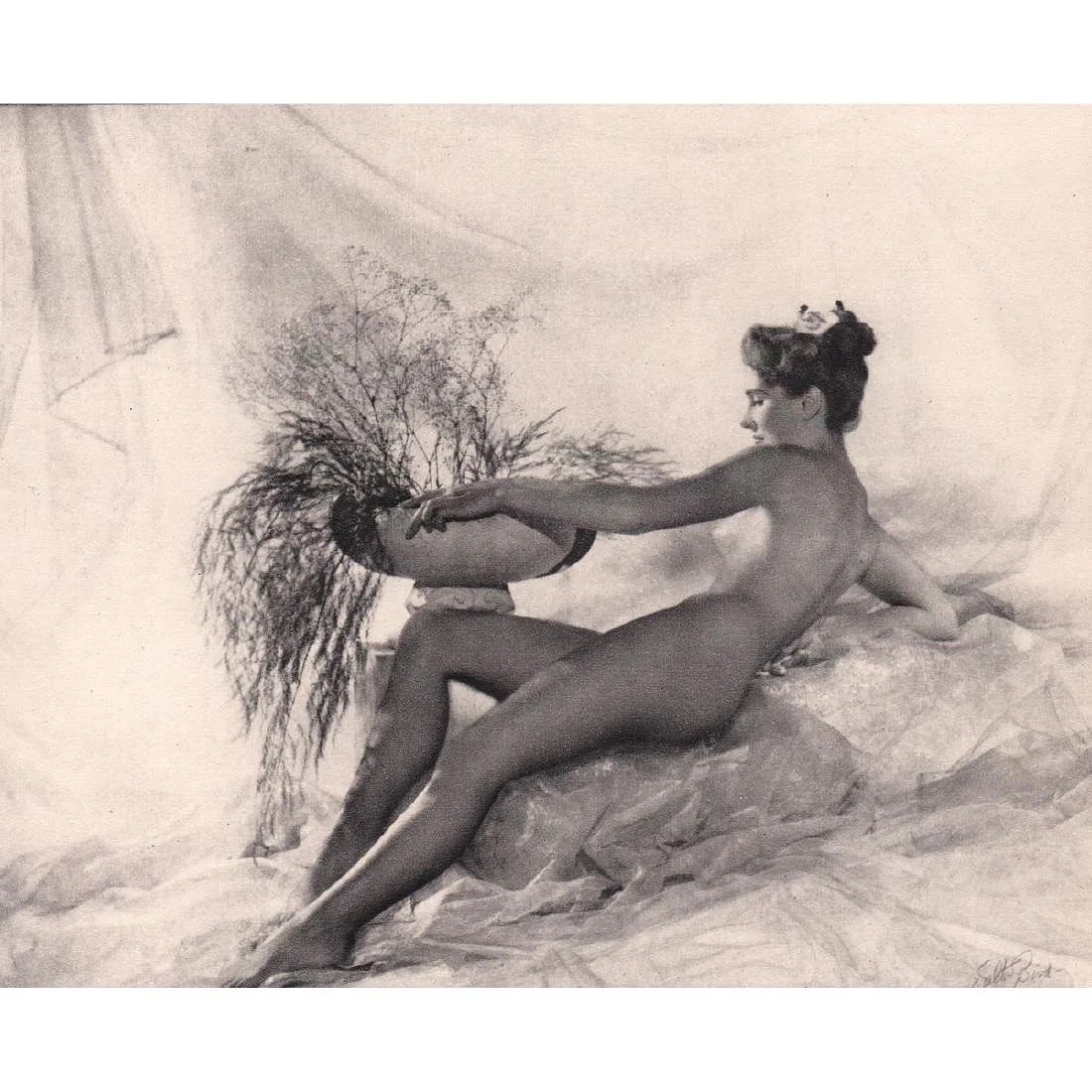 Walter Bird (British, 1906-1969) Print: Walter Bird (British, 1906-1969) Print. Nymph. Printed in 1950s, United Kingdom. 7.00 x 5.75 inches. Not hand-signed unless otherwise stated. Photomechanical Print. Lots that contain nudity have been