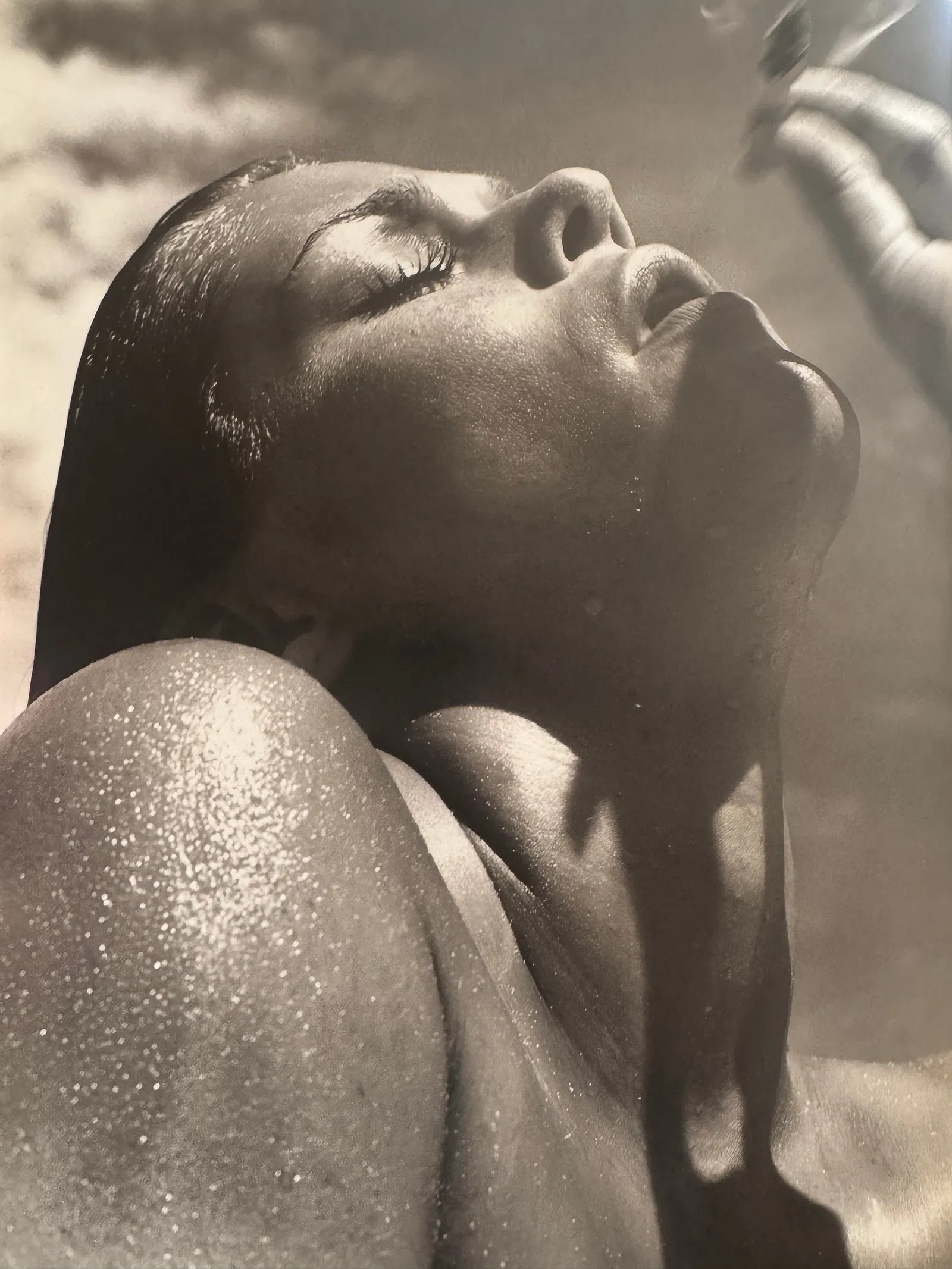 Richard Avedon (American, 1923-2004) Print (1 of 1)