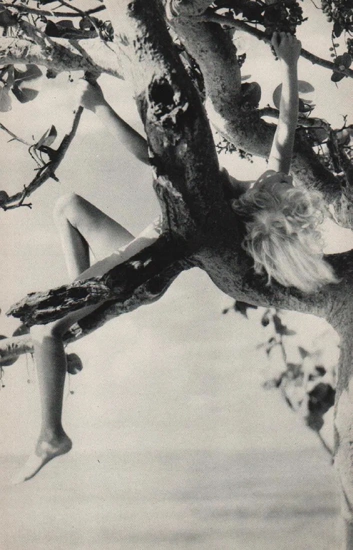 Nell Dorr (American, 1893-1986) Print (1 of 1)