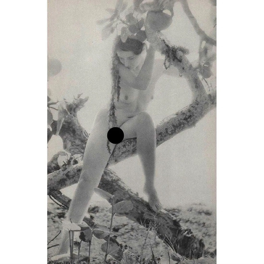 Nell Dorr (American, 1893-1986) Print (1 of 1)