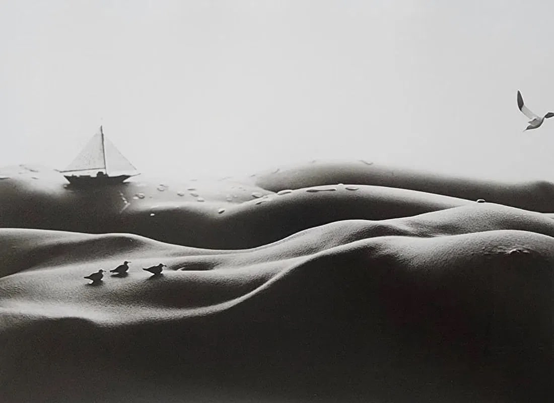 Allan Teger (American, b. 1942) Print: Allan Teger (American, b. 1942) Print. Bodyscapes. Printed in 2012, China. 7.00 x 9.50 inches. Photogravure/Heliogravure. Not hand-signed unless otherwise stated. Photomechanical Print. Lots that cont