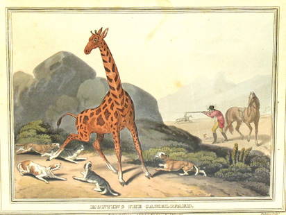 Hunting the Game Camelopard 1814 Aquatint Engraving: Hunting the Game Camelopard (Hunting the Giraffe) from the publication, "Foreign field sports, fisheries, sporting anecdotes"; from drawings by Messrs. Howitt, Atkinson, Clark, Manskirch etc. .This aq