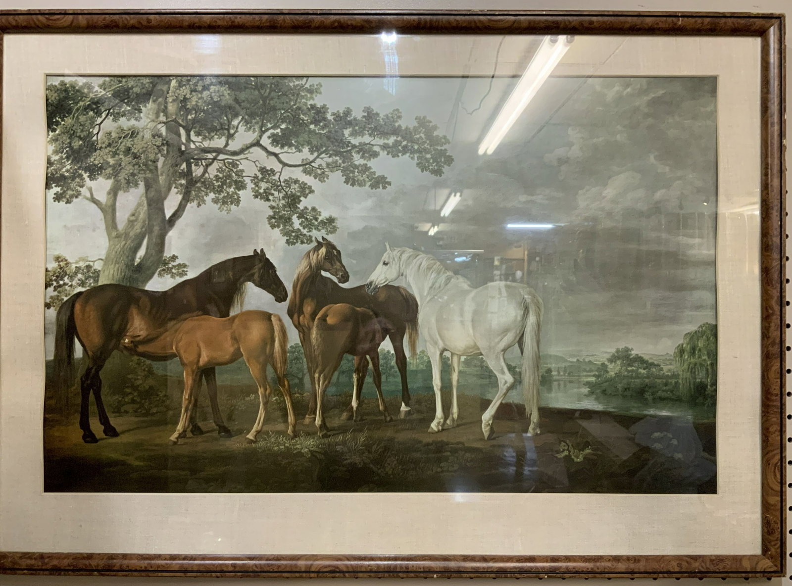 Antique Horses Litho: IMAGES-DETAILS-MEASUREMENTS COMING SOON! Antique Horses Litho Zelma's offers in-house shipping, please inquire before checkout to ensure competitive shipping rates. Provenance: From the estate of prol