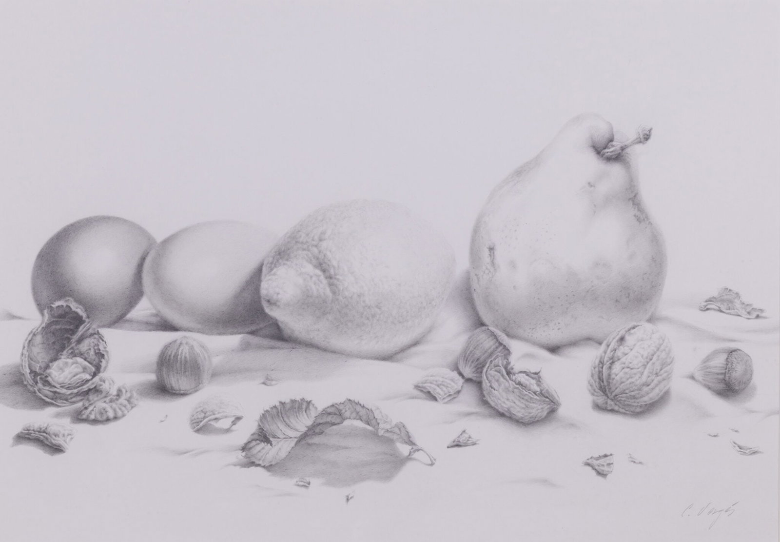 Carles Vergés - Still Life with Fruit (1 of 5)