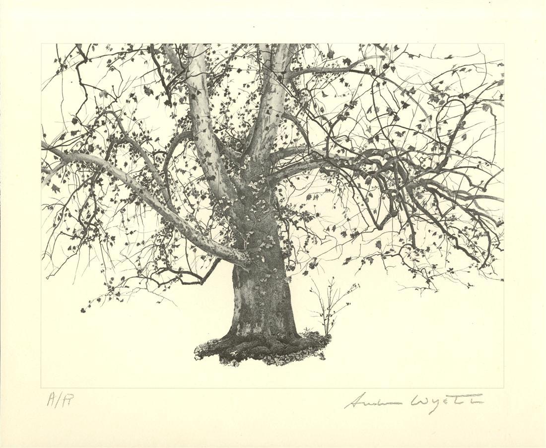 ANDREW WYETH [d'apres] - New Leaves (1 of 1)