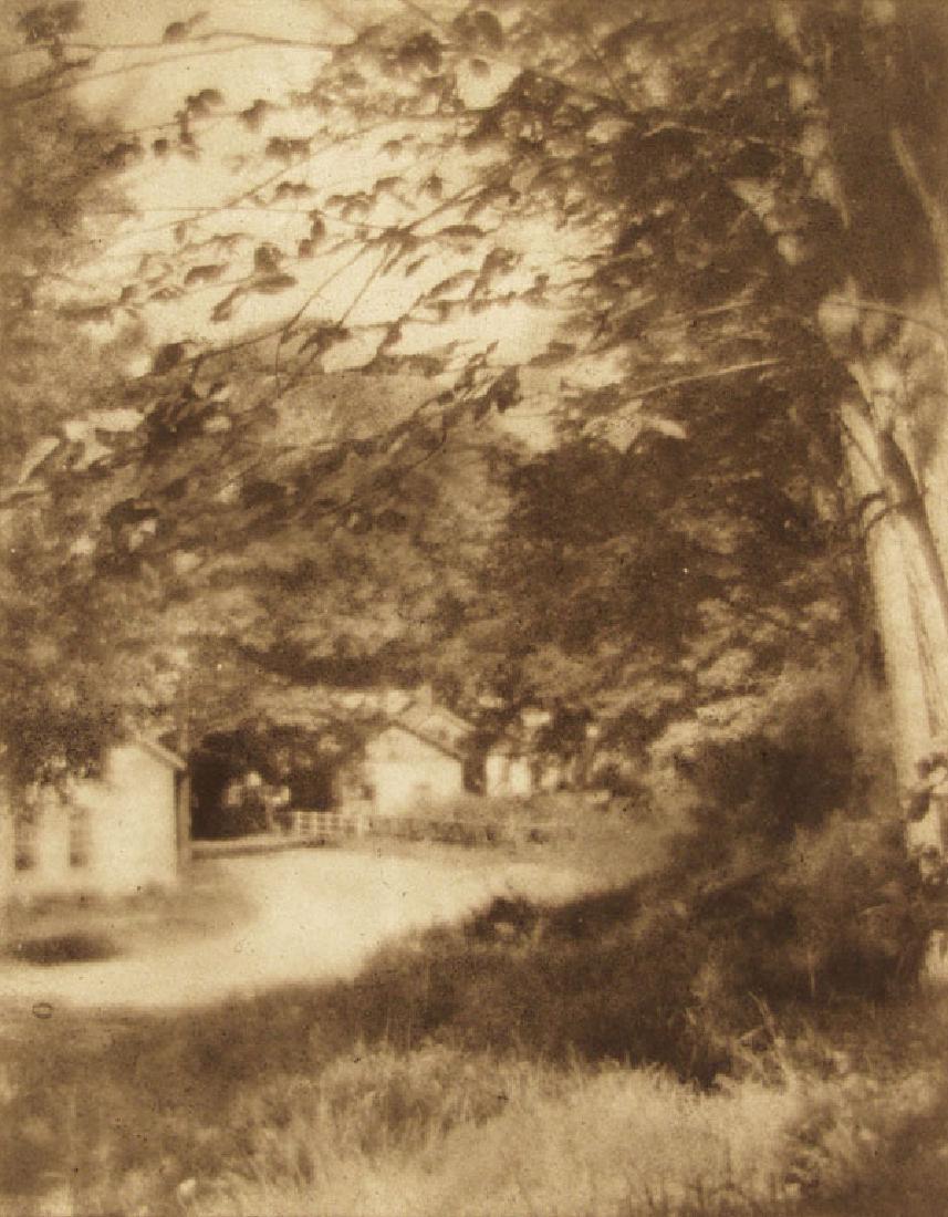 WILLIAM GORDON SHIELDS - Country Homes [New York] (1 of 1)