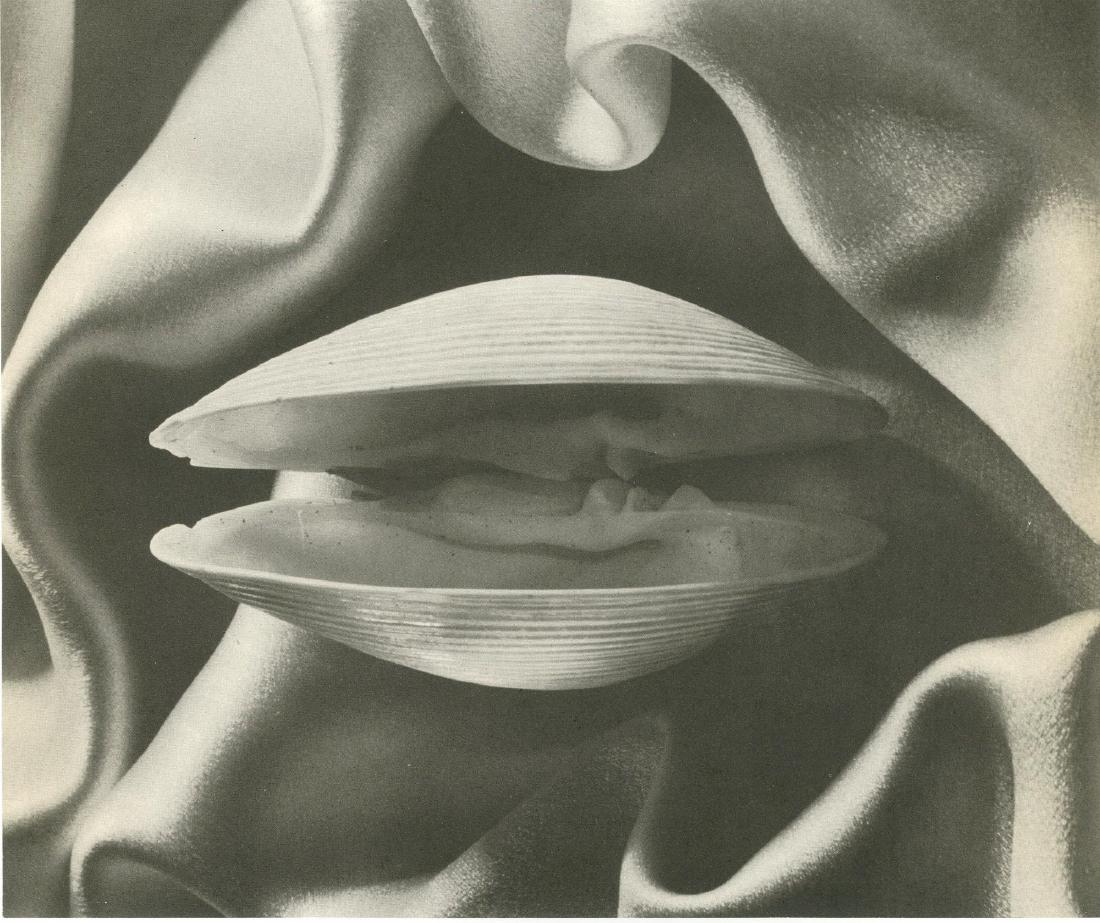 RUTH BERNHARD - Shell in Silk: Ruth Bernhard (American, 1905-2006). "Shell in Silk". Original vintage photoengraving. c1936. Printed 1937. Stamped with the photographer's name, verso. Edition unknown, presumed small. High-grade arc