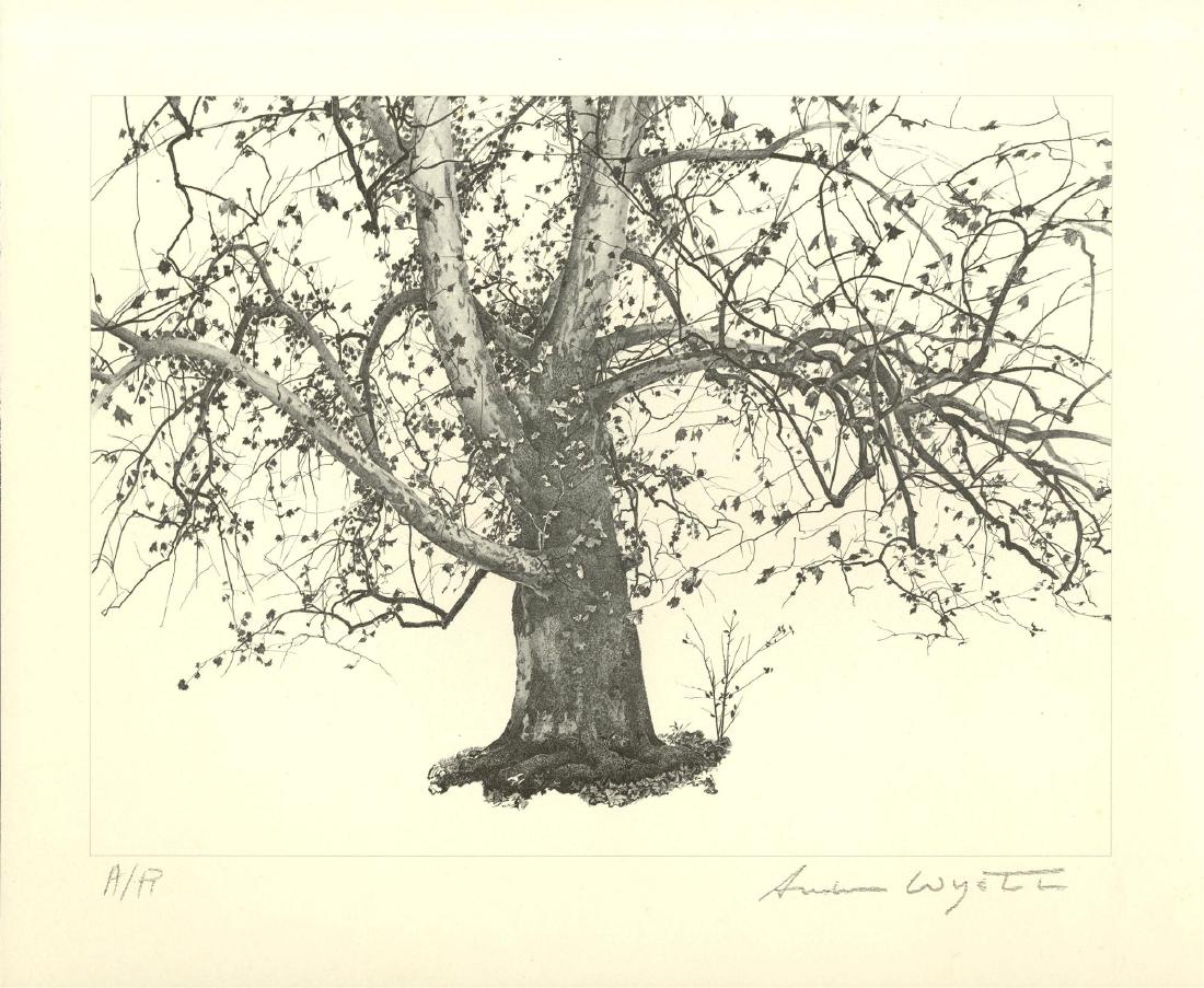 Andrew Wyeth、WITCH DOOR、希少画集画、新品高級額、額装付 Andrew Wyeth、WITCH DOOR、希少画集画、新品高級額、額装付