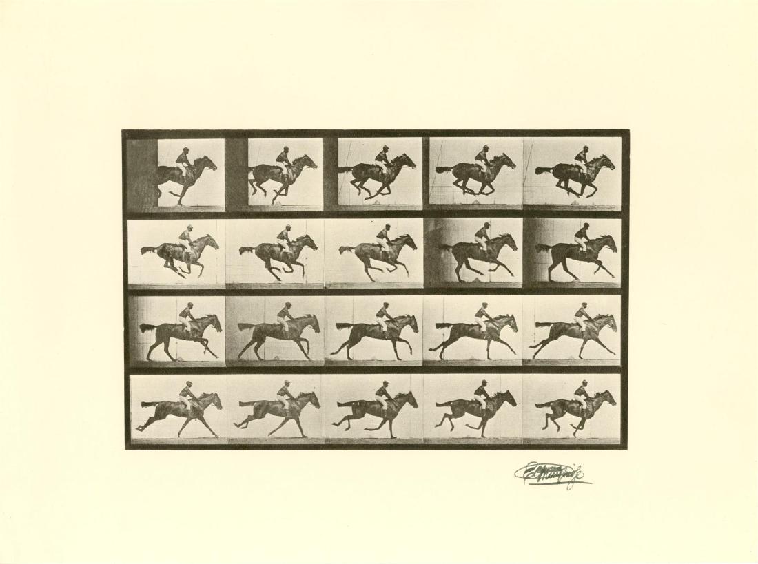 EADWEARD MUYBRIDGE [d'apres] - Jockey on Galloping (1 of 1)