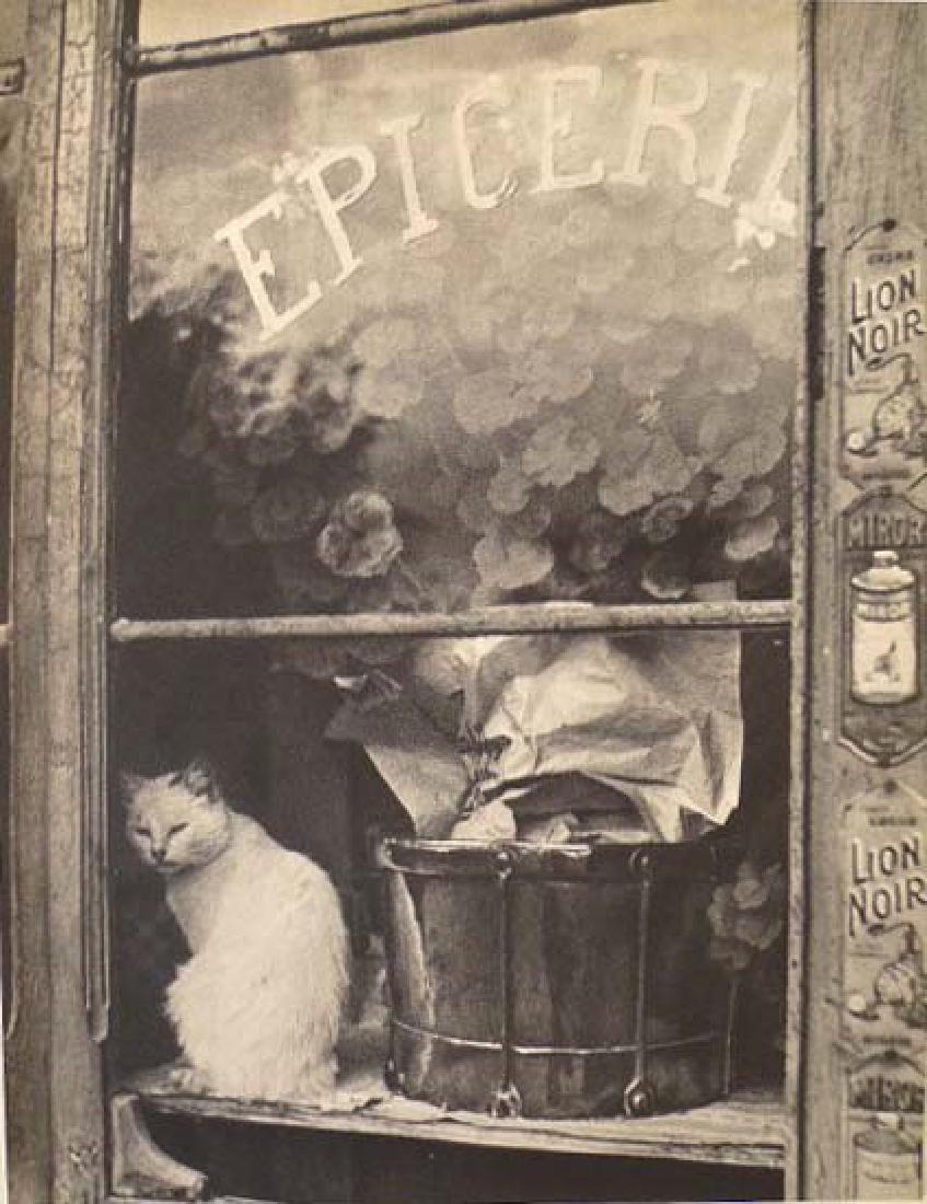 BRASSAI [gyula halasz] - Chat blanc de l'epicerie: Brassai [gyula halasz] (Hungarian/French, 1899-1984). "Chat blanc de l'epicerie". Original vintage photogravure. c1937. Printed 1938. Stamped with the photographer's name, verso. Edition unknown, pres