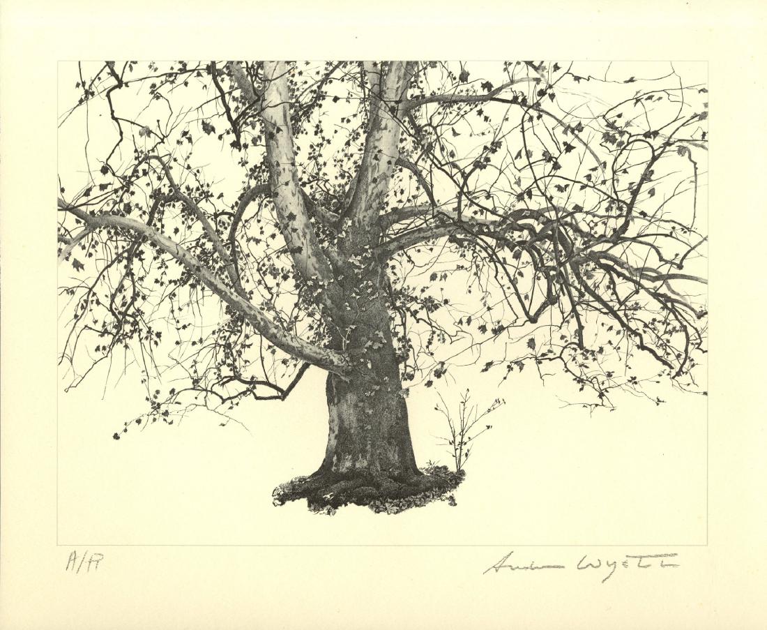 ANDREW WYETH - New Leaves (1 of 1)