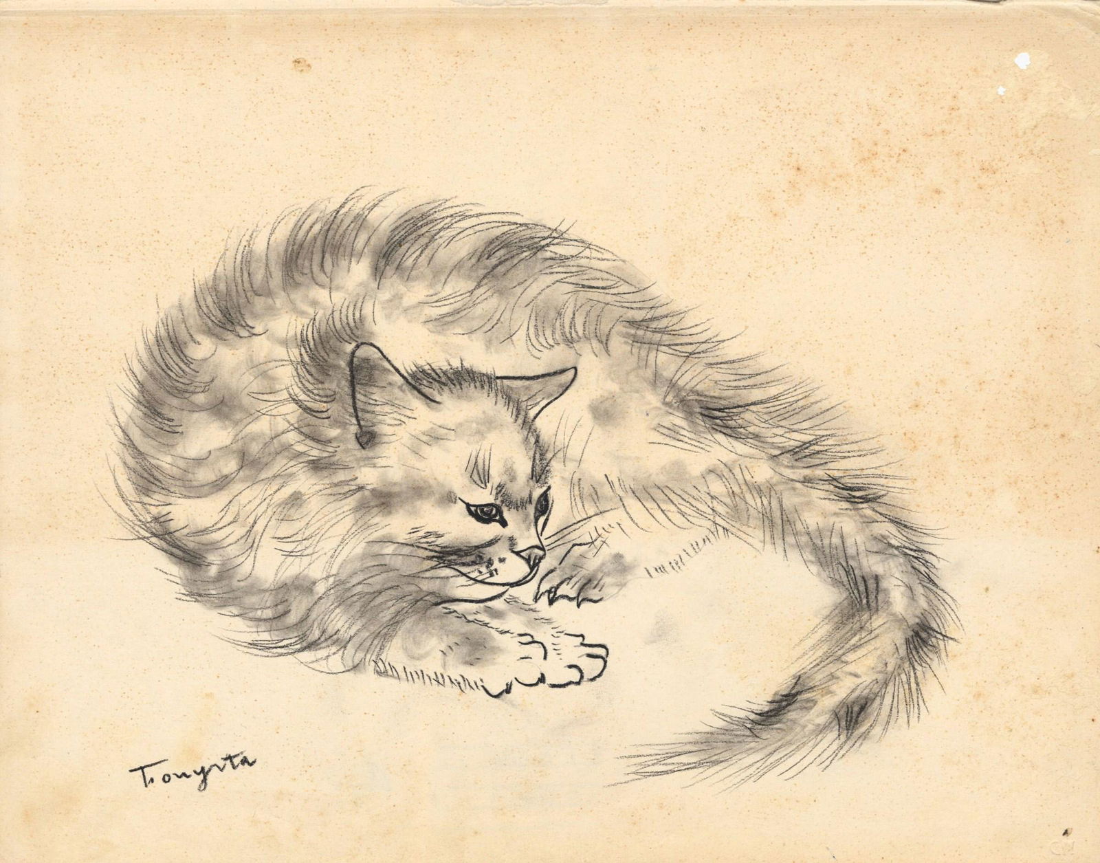 LEONARD TSUGUHARU FOUJITA - Chat assoupi - Pencil (1 of 1)