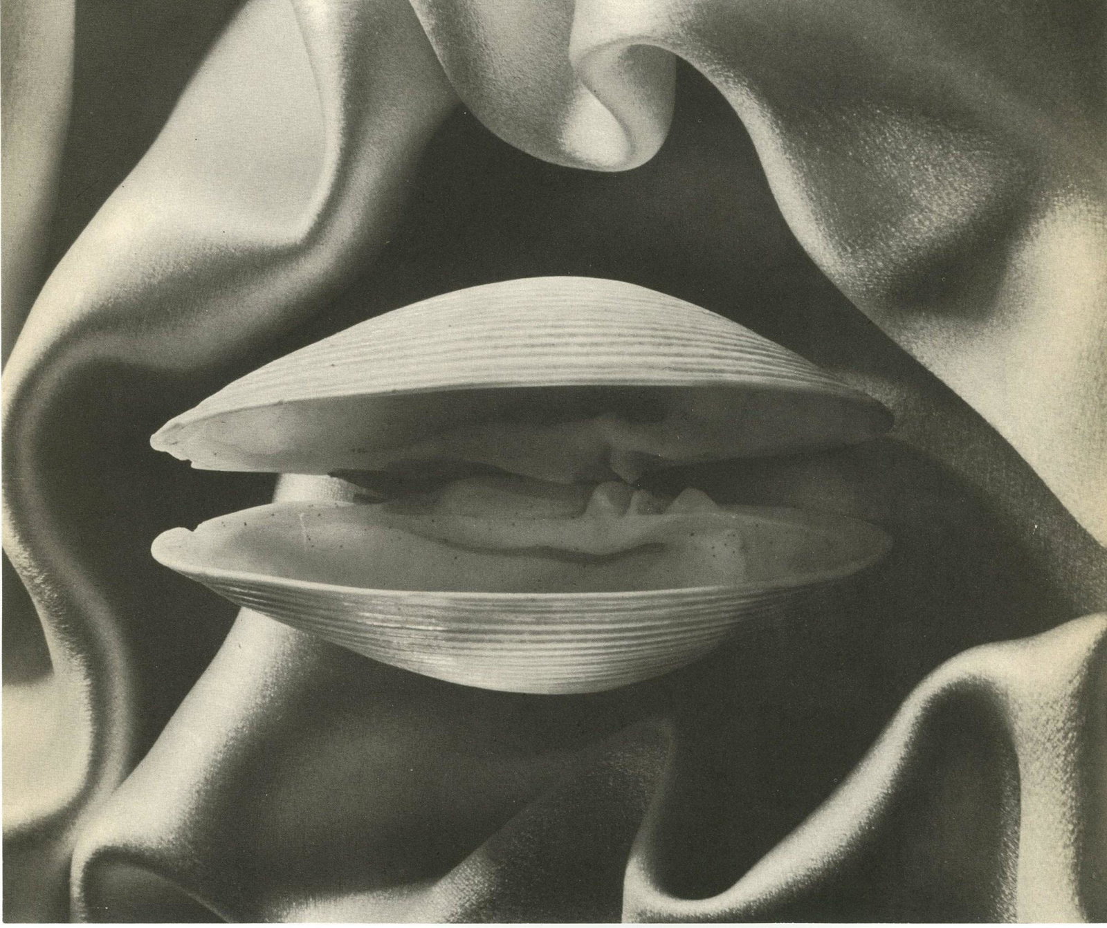RUTH BERNHARD - Shell in Silk - Original vintage: Artist: Ruth Bernhard (American, 1905-2006). Title: "Shell in Silk". Medium: Original vintage photoengraving. Date: c1936. Printed 1937. Lot Note(s): Stamped with the photographer's name, ver