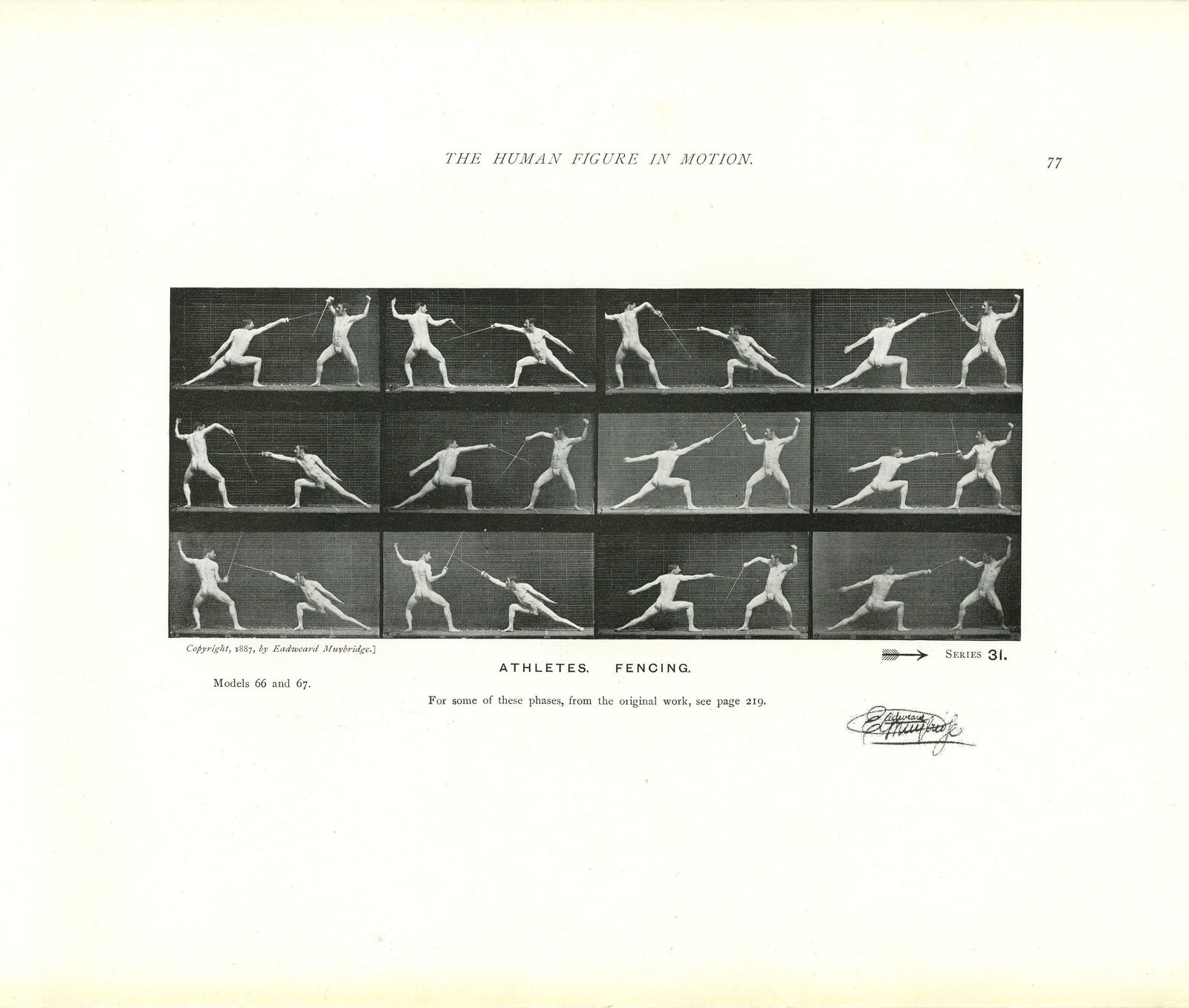 EADWEARD MUYBRIDGE - Athletes: Fencing - Original (1 of 1)