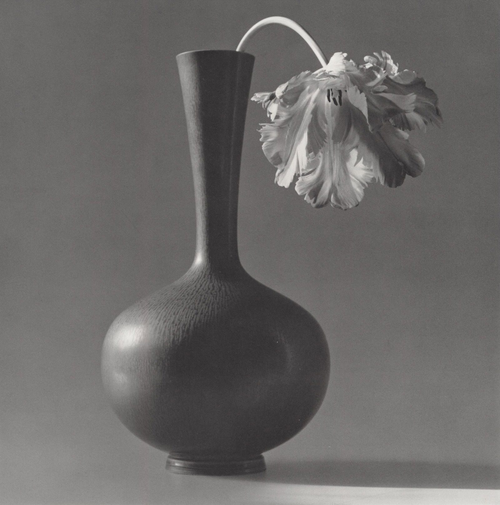 ROBERT MAPPLETHORPE - Parrot Tulip in a Black Vase - (1 of 1)
