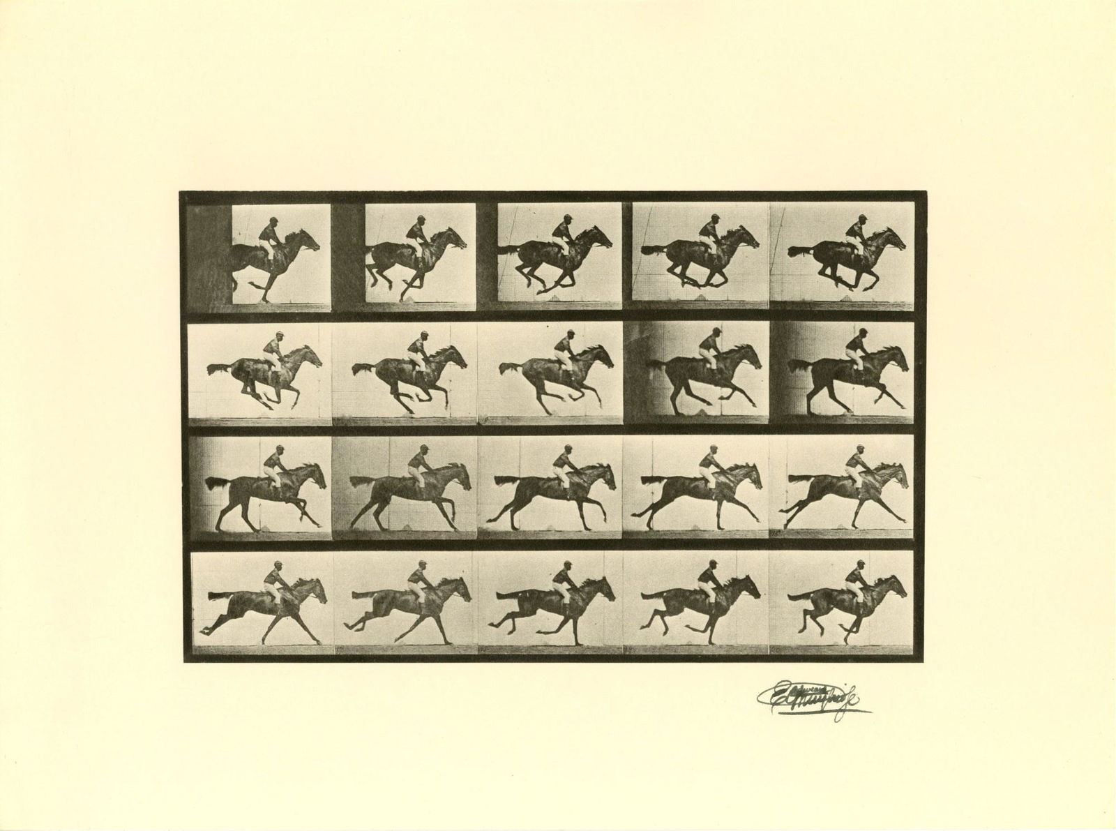 EADWEARD MUYBRIDGE [d'apres] - Jockey on Galloping (1 of 1)