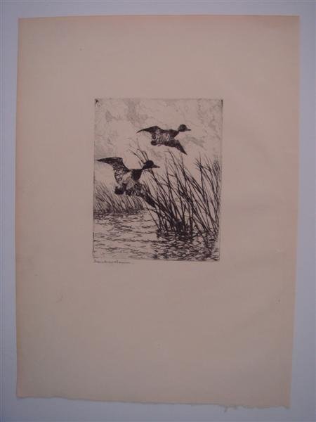 FRANK W. BENSON (American) Etching: Frank W. Benson (American, 1862 - 1951). "Ducks Rising". Etching. 1930s?. Signed in pencil, lower left. 4 7/8 x 3 7/8 in. (124 x 98 mm). Provenance: Ex-collection Seymour Hacker, Hacker Art Books, NYC
