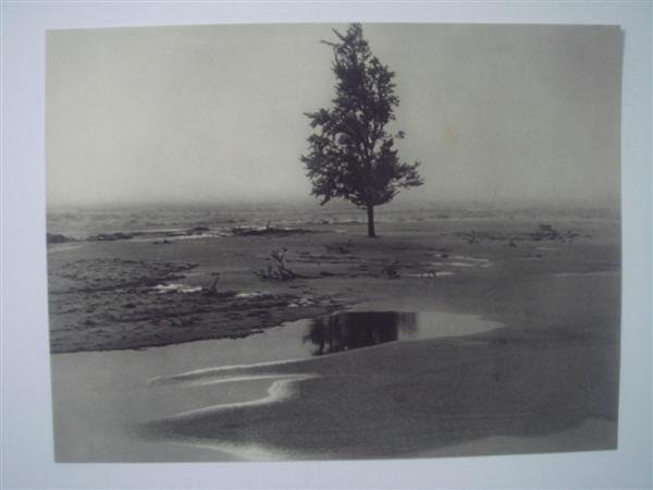 ALBERT RENGER-PATZSCH (German) Vintage photogravu: Albert Renger-Patzsch (German, 1897-1966). "Landschaft". Vintage photogravure. c1930. Printed 1930. 5 7/8 x 7 7/8 in. (149 x 200 mm). Provenance: Seymour Hacker, Hacker Art Books, NYC. Ex-collection J