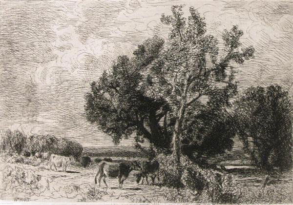 WILLIAM M. HART (American) Etching: William M. Hart (American, 1823-1894). "Cattle Grazing". Etching. c1885. Signed in plate, lower left. Full margins. Fine impression. 5 7/8 x 8 1/8 in. (149 x 206 mm). Sheet Size: 8 1/2 x 11 3/8 in. (2