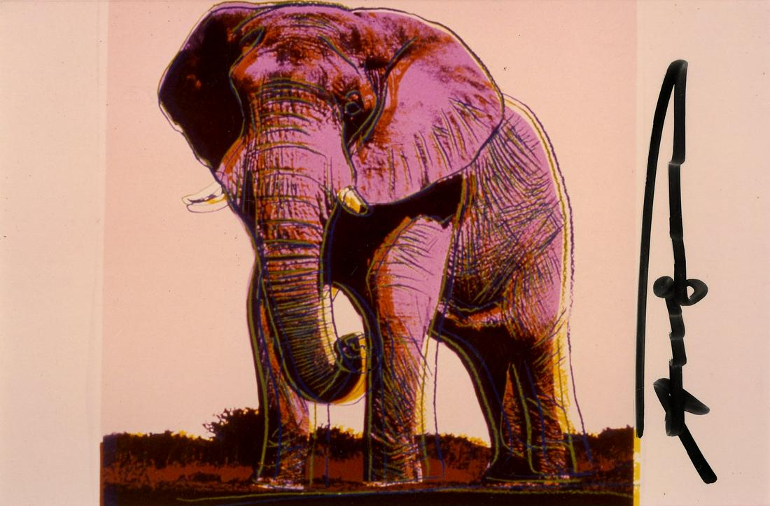 ANDY WARHOL - African Elephant - Original color (1 of 1)