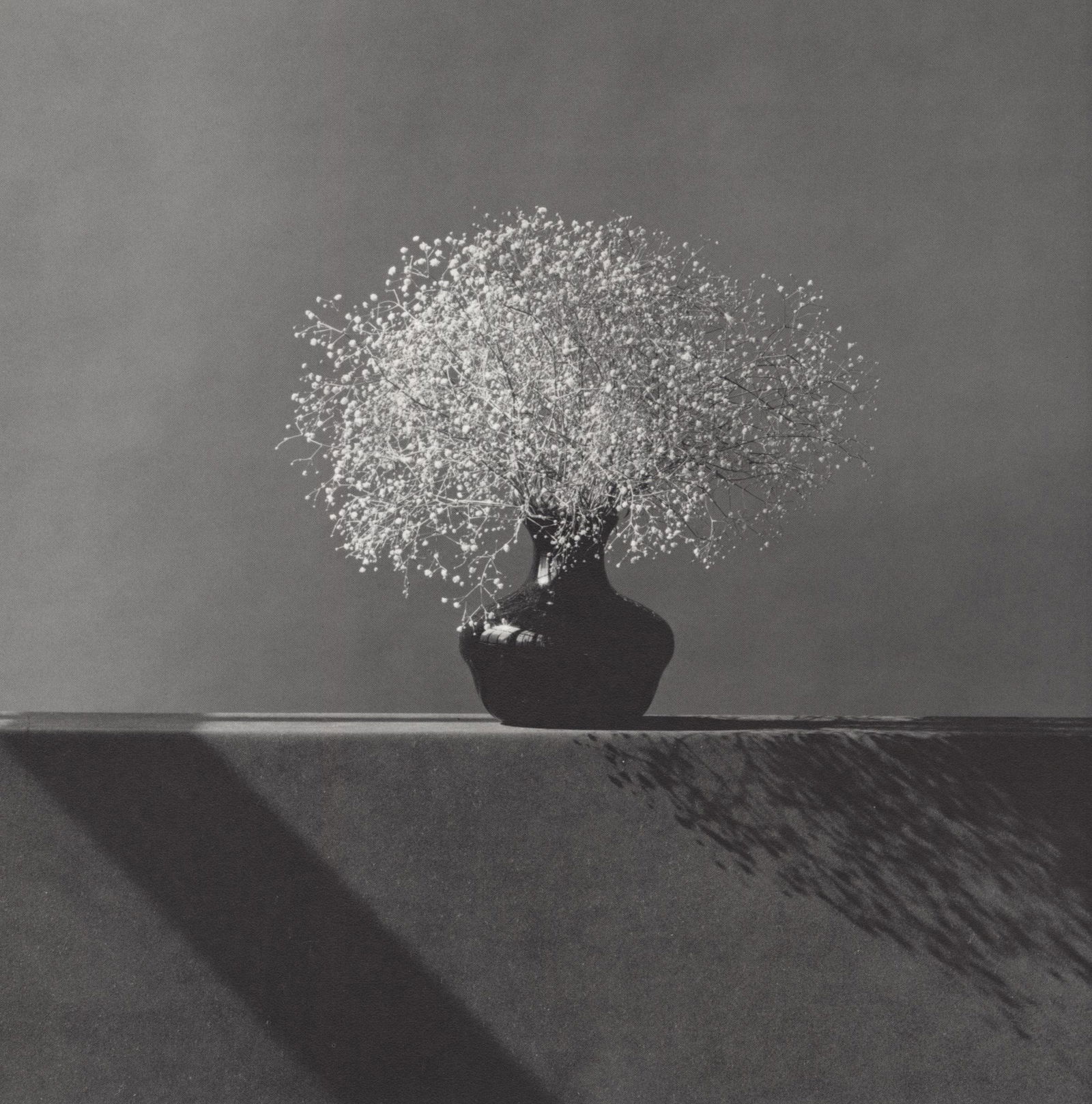 ROBERT MAPPLETHORPE - Baby's Breath - Original vintage (1 of 1)
