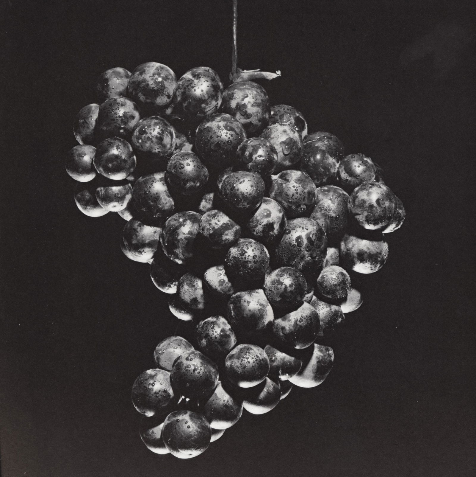 ROBERT MAPPLETHORPE - Grapes - Original vintage (1 of 1)