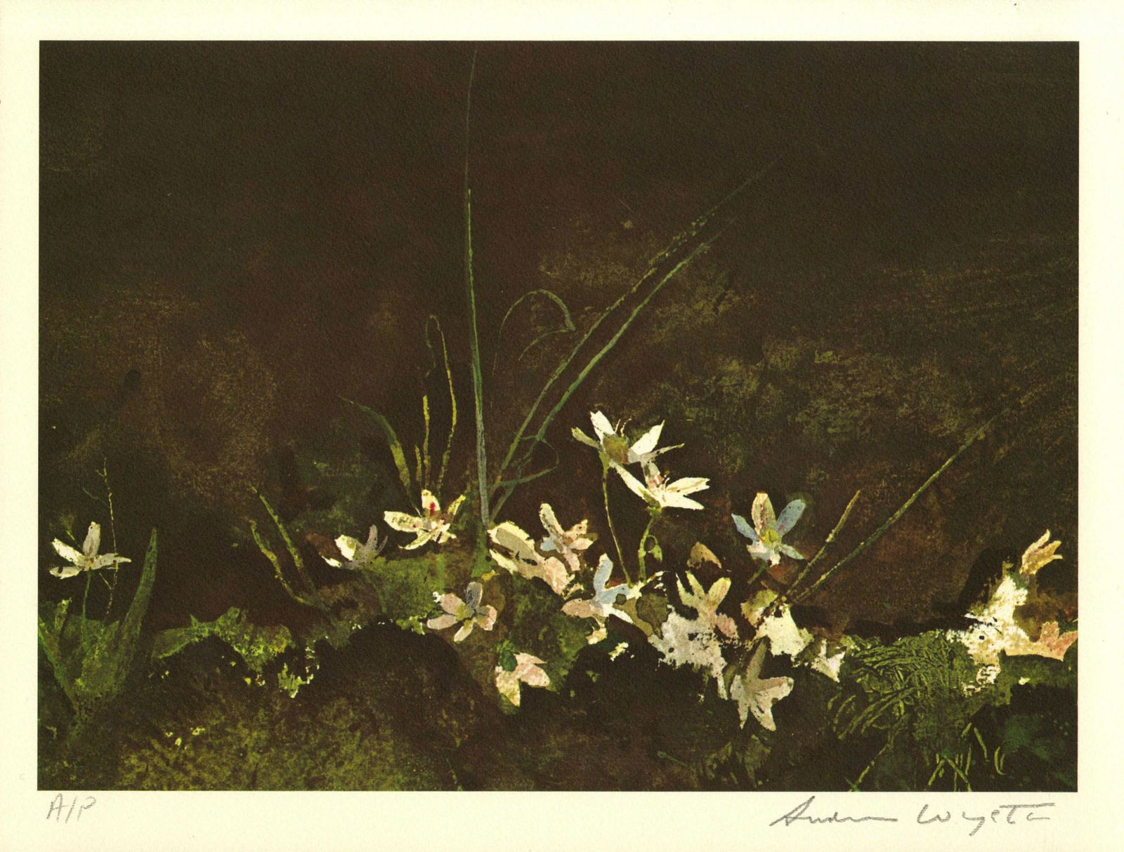 ANDREW WYETH - May Day - Color offset lithograph (1 of 1)