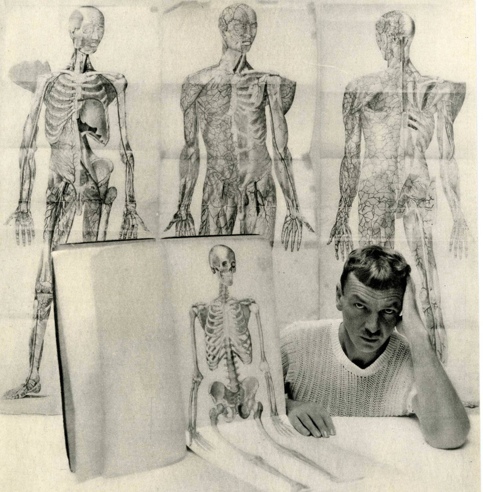 GEORGE PLATT LYNES - Skeletons with Penis - Original: Artist: George Platt Lynes (American, 1907 - 1955). Title: "Skeletons with Penis". Medium: Original vintage photogravure. Date: Composed c1947. Printed 1947. Dimensions: Image size: 8 7/8 x 7