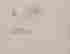 item-111695014=2