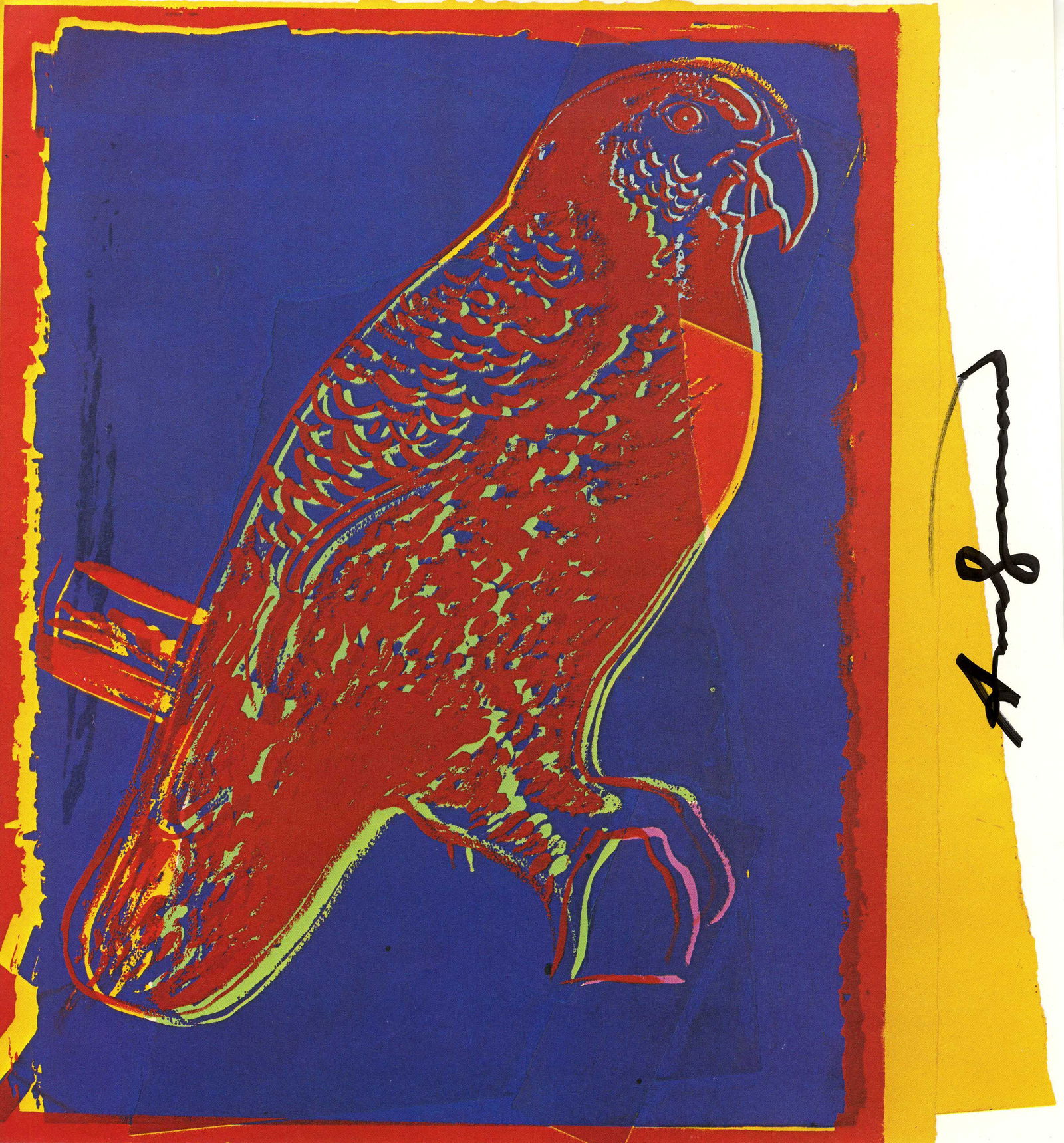 ANDY WARHOL - Puerto Rican Parrot - Color offset: Artist: Andy Warhol (American, 1928 - 1987). Title: "Puerto Rican Parrot". Medium: Color offset lithograph. Date: Composed 1986. Dimensions: Overall size: 10 7/16 x 10 1/4 in. (265 x 260 mm).