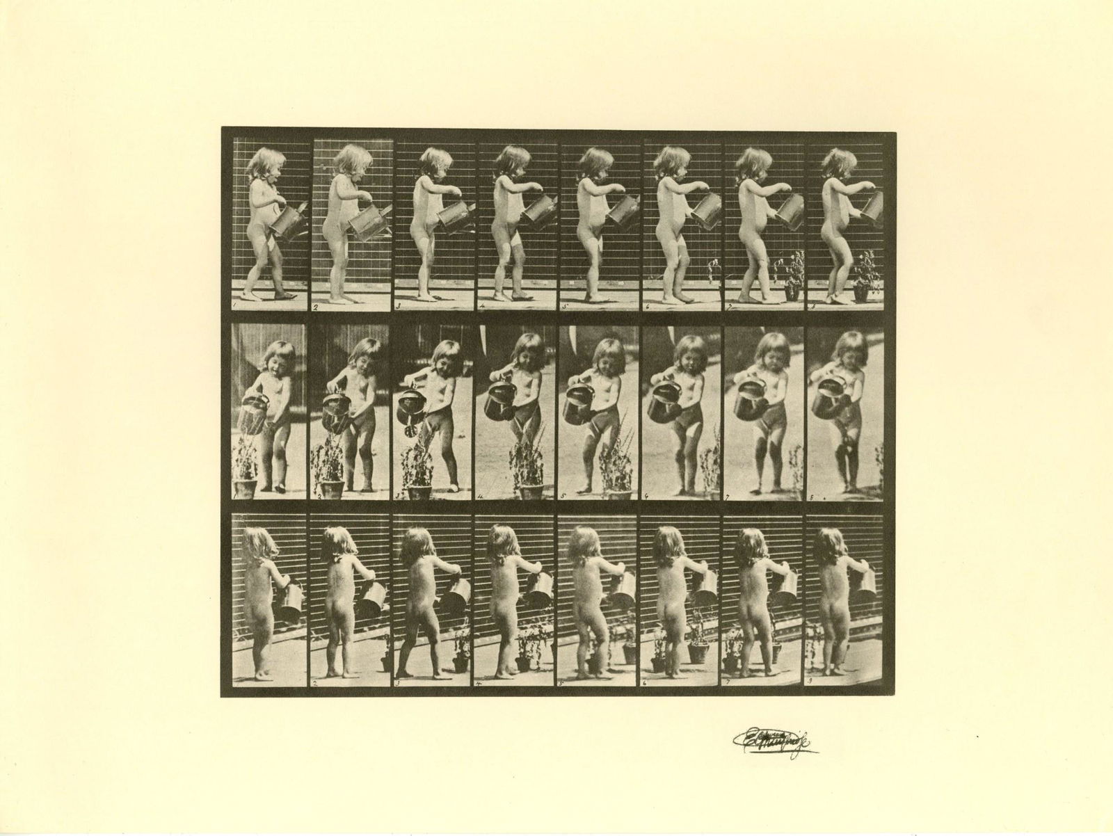 EADWEARD MUYBRIDGE [d'apres] - Girl Watering - Original (1 of 1)