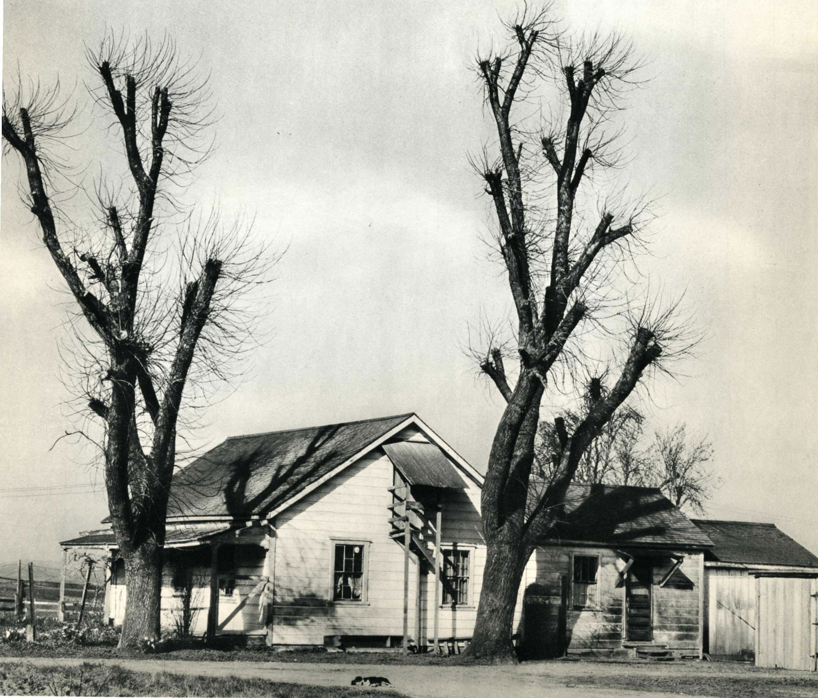 EDWARD WESTON - Farm House, Salinas Valley - Original (1 of 1)