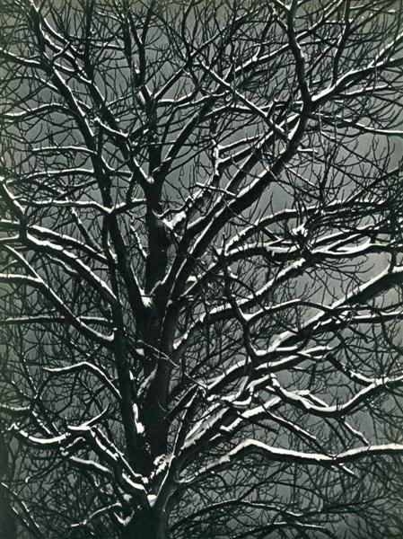 BRASSAI [GYULA HALASZ] (Hungarian/French) Original: Brassai [Gyula Halasz] (Hungarian/French, 1899-1984). "Premiere Niege". Original vintage photogravure. c1939. Printed 1939. 11 9/16 x 8 3/4 in. (294 x 222 mm). [23872]