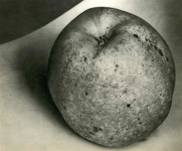 EDWARD STEICHEN (American) Original vintage photo: Edward Steichen (American, 1879 - 1973). "Fruit". Original vintage photogravure. c1930. Printed 1930. 7 1/2 x 9 in. (190 x 229 mm). Ex-collection Jaled Muyaes, Mexico City. [23233]