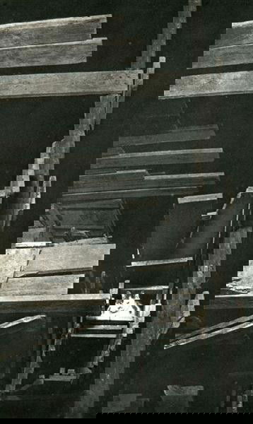 BRASSAI [GYULA HALASZ] (Hungarian/French) Original: Brassai [Gyula Halasz] (Hungarian/French, 1899-1984). "Chat". Original vintage photogravure. c1947. Printed 1947. 11 3/8 x 7 in. (289 x 178 mm). [23849]