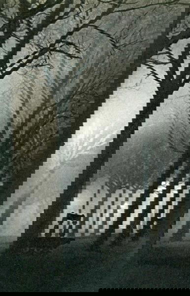 BRASSAI [GYULA HALASZ] (Hungarian/French) Original: Brassai [Gyula Halasz] (Hungarian/French, 1899-1984). "Effet de la Perspective". Original vintage photogravure. c1935. Printed 1935. 6 3/16 x 4 1/8 in. (157 x 105 mm). [23833]