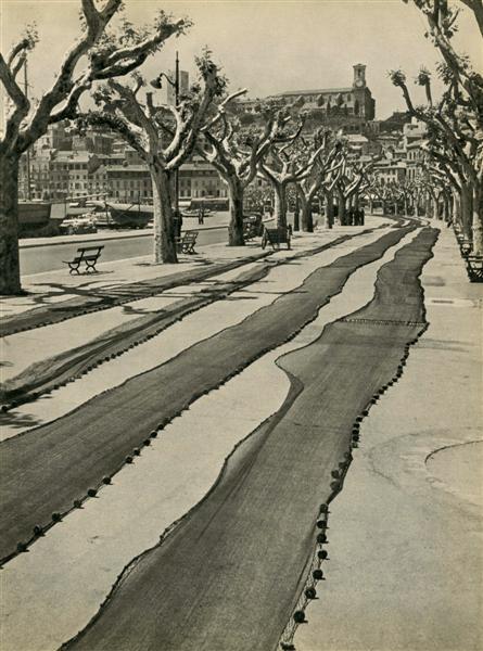 BRASSAI [GYULA HALASZ] (Hungarian/French) Original: Brassai [Gyula Halasz] (Hungarian/French, 1899-1984). "Filets des Pecheurs". Original vintage photogravure. c1948. Printed 1948. 11 x 8 3/16 in. (279 x 208 mm). [24891]