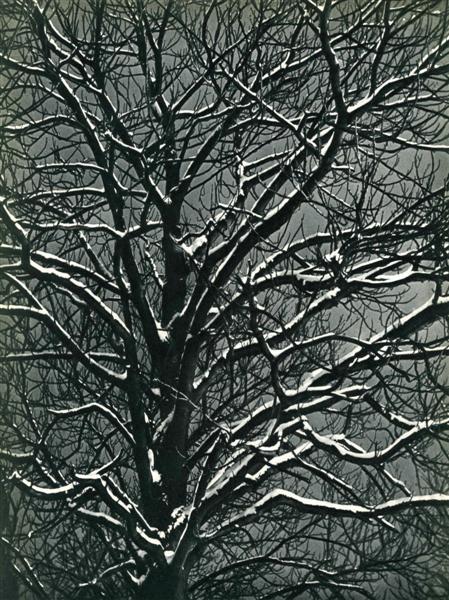 BRASSAI [GYULA HALASZ] (Hungarian/French) Original: Brassai [Gyula Halasz] (Hungarian/French, 1899-1984). "Premiere Niege". Original vintage photogravure. c1939. Printed 1939. 11 9/16 x 8 3/4 in. (294 x 222 mm). [23872]