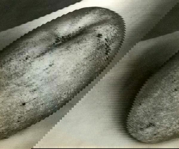 EDWARD STEICHEN (American) Original vintage photo: Edward Steichen (American, 1879 - 1973). "Fruit". Original vintage photogravure. c1930. Printed 1930. Ex-collection Jaled Muyaes, Mexico City. 7 1/2 x 9 in. (190 x 229 mm). [23233]