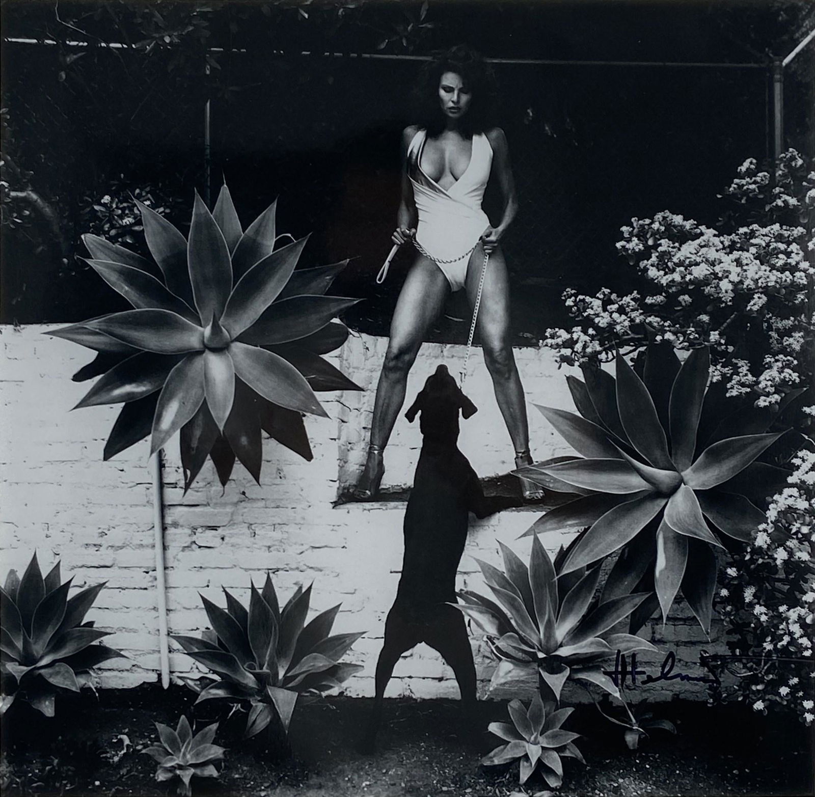 HELMUT NEWTON - Raquel Welch in Her Backyard, Beverly Hills - Original vintage photolithograph (1 of 1)