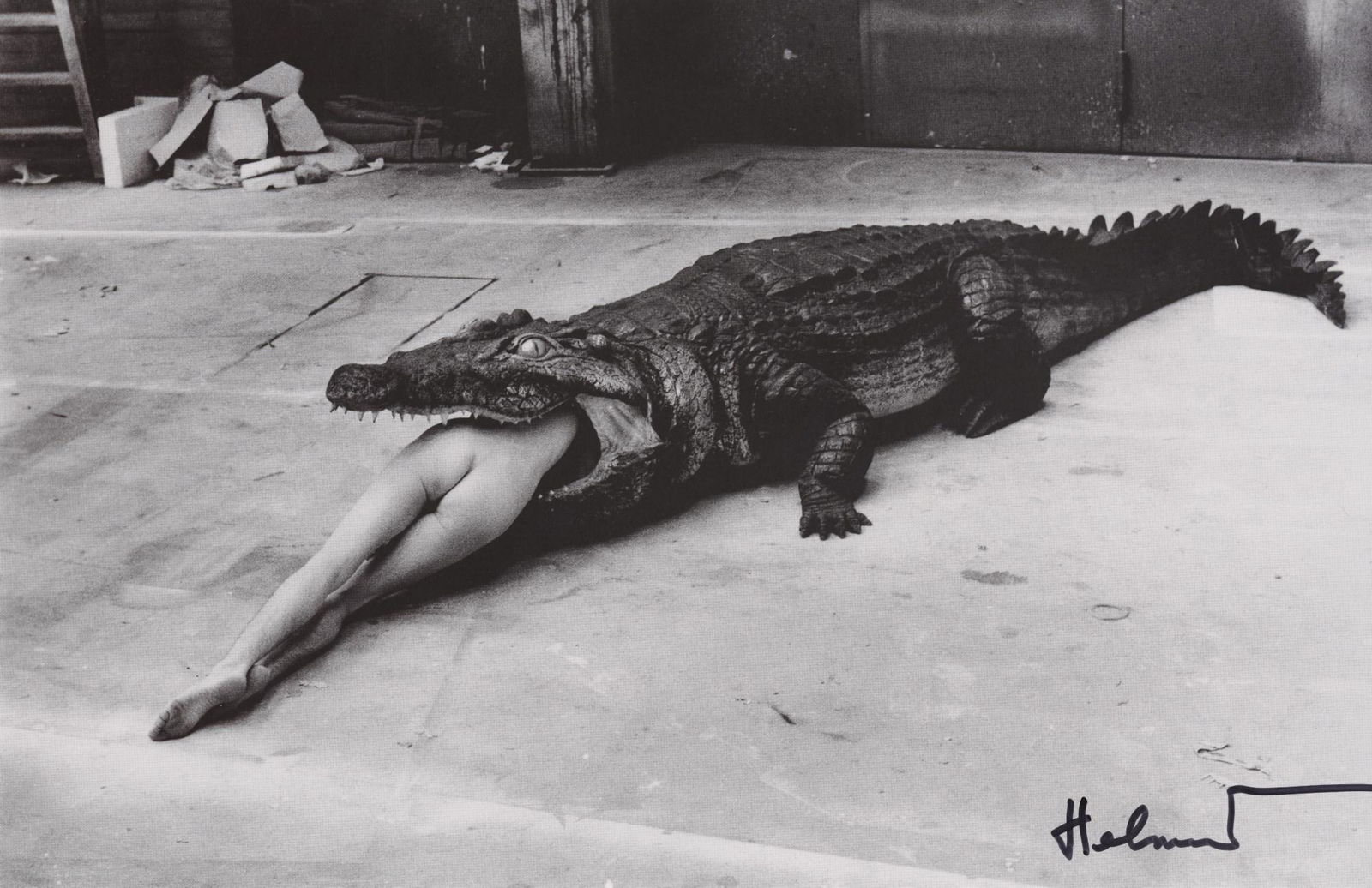 HELMUT NEWTON - Crocodile Eating Ballerina [Scene from Pina Bausch, Dance Theater Wuppertal] - (1 of 1)