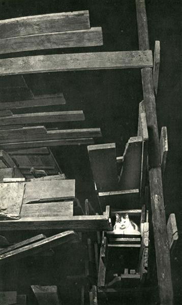 BRASSAI [GYULA HALASZ] - Original vintage photogra: Brassai [Gyula Halasz] (Hungarian/French, 1899-1984). "Chat". Original vintage photogravure. c1947. Printed 1947. 11 3/8 x 7 in. (289 x 178 mm). [23849]