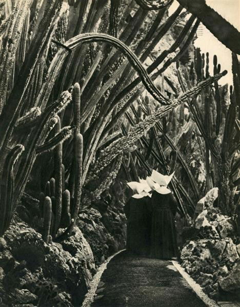 BRASSAI [GYULA HALASZ] - Original vintage photogra: Brassai [Gyula Halasz] (Hungarian/French, 1899-1984). "Etude #016". Original vintage photogravure. c1947. Printed 1947. 11 1/2 x 9 1/8 in. (292 x 232 mm). [24230]