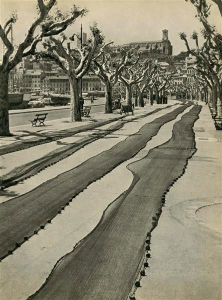 BRASSAI [GYULA HALASZ] - Original vintage photogra: Brassai [Gyula Halasz] (Hungarian/French, 1899-1984). "Filets des Pecheurs". Original vintage photogravure. c1948. Printed 1948. 11 x 8 3/16 in. (279 x 208 mm). [24891]