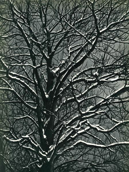 BRASSAI [GYULA HALASZ] - Original vintage photogra: Brassai [Gyula Halasz] (Hungarian/French, 1899-1984). "Premiere Niege". Original vintage photogravure. c1939. Printed 1939. 11 9/16 x 8 3/4 in. (294 x 222 mm). [23872]