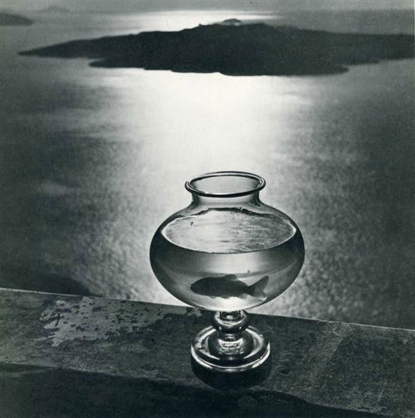 HERBERT LIST - Original vintage photogravure: Herbert List (German, 1903-1974). "Poisson". Original vintage photogravure. c1939. Printed 1939. 8 1/2 x 8 5/8 in. (216 x 219 mm). [23873]