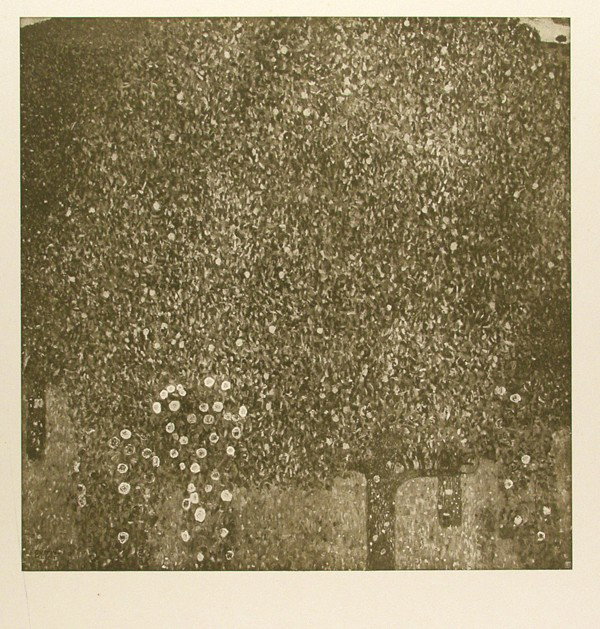 GUSTAV KLIMT - Original color collotype, printed : Gustav Klimt (Austrian, 1862 - 1918). "Rosen Unter Bäumen [Roses among Trees] [From: Das Werk Gustav Klimts]". Original color collotype, printed in brownish-green ink. c1905. Printed 1908-1914. Signe