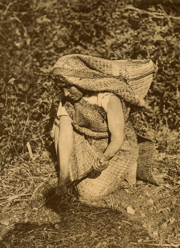 EDWARD S. CURTIS (AFTER) - Original sepia-toned ph: Edward S. Curtis (after) (American, 1868-1952). "Hesquiat Root Digger - Nootka Woman". Original sepia-toned photogravure. 1915. Printed later. Very good condition. Image size: 14 15/16 x 10 15/16 in. 