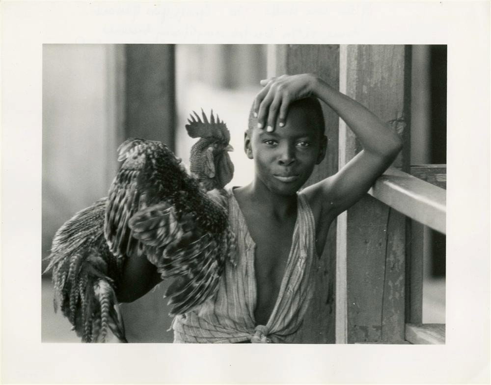 GEORGES YVES MASSART - Vintage silver gelatin prin: Georges Yves Massart (French/Mexican, b. 1932). "Niño con Gallo". Vintage silver gelatin print. 1970. Printed 1970. Signed, dated, and titled in pen, verso. Kodak paper. Very good condition. Provenan