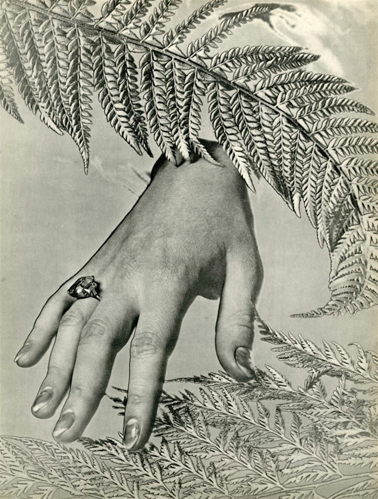 JOHN SOMERSET MURRAY - Original vintage photograv: John Somerset Murray (English, 1904-1992). "Decoration [partial reversal process with solarization]". Original vintage photogravure. c1935. Printed 1935. Image size: 11 7/8 x 9 in. (302 x 229 mm). [23